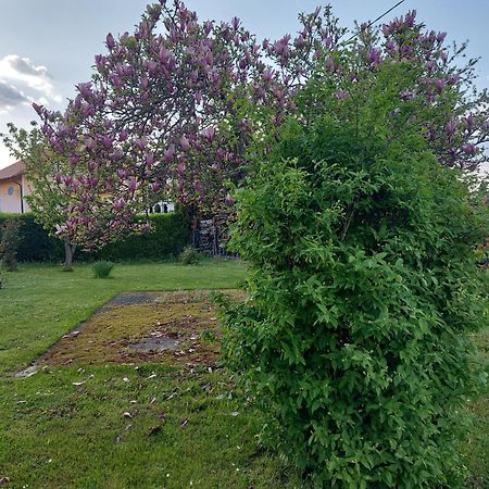 קופריבניצה A House, Free Parking, Sauna מראה חיצוני תמונה